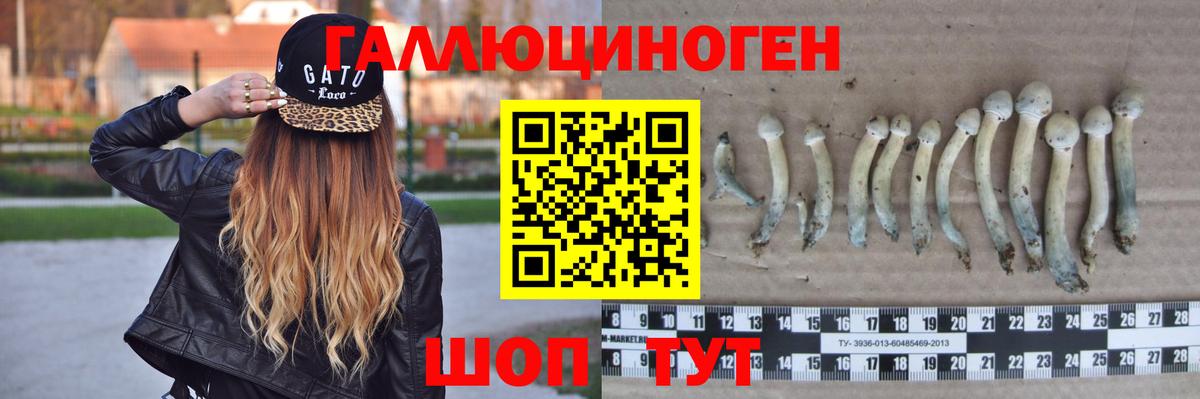 Галлюциногенные грибы Cubensis  Псилоцибиновые грибы ЛСД  Краснодар  где продают   Вход с VPN 